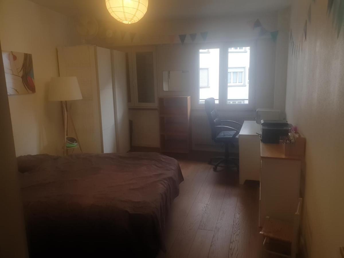 La Puisatiere 80 M2 Leilighet Strasbourg Eksteriør bilde