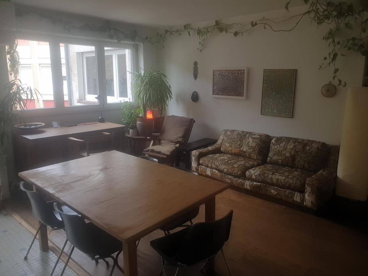 La Puisatiere 80 M2 Leilighet Strasbourg Eksteriør bilde