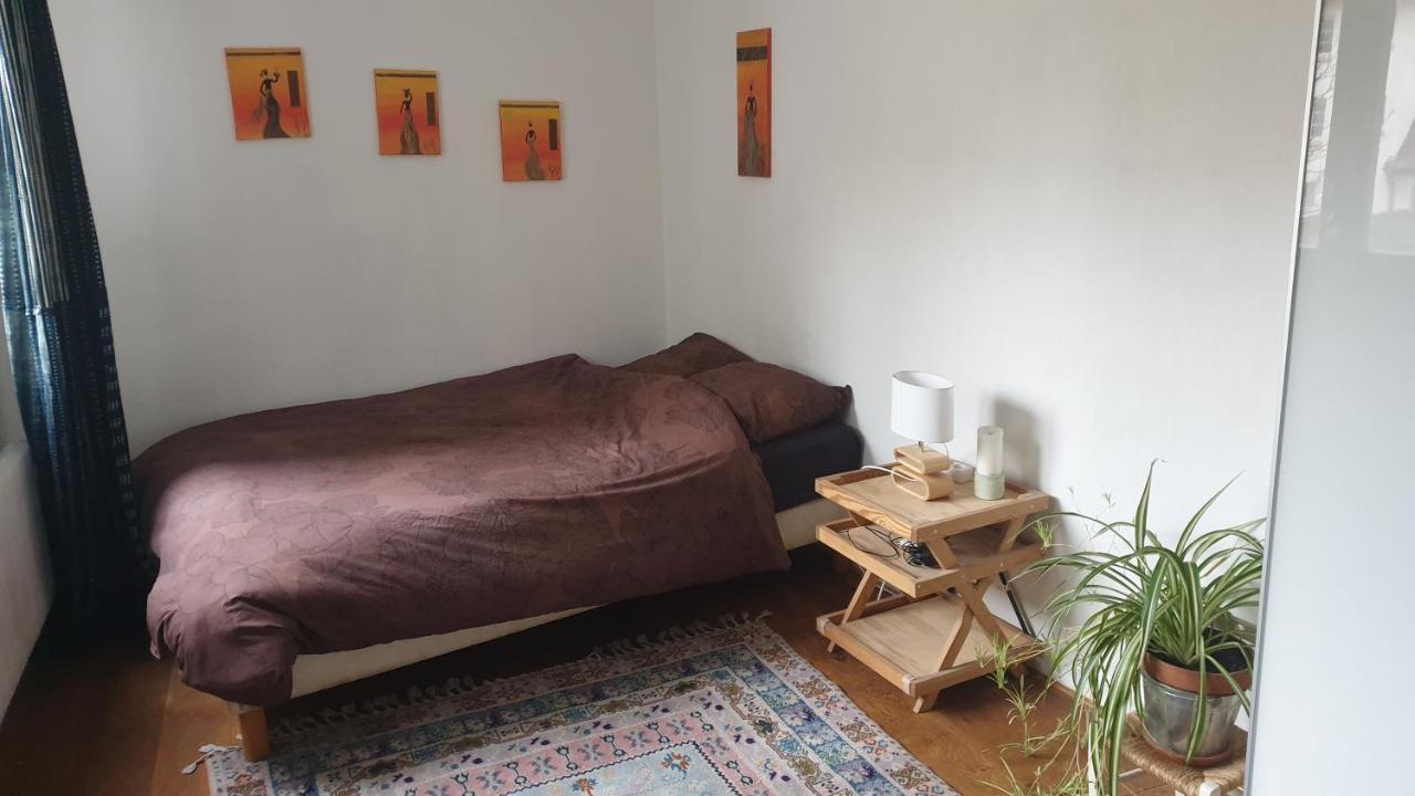 La Puisatiere 80 M2 Leilighet Strasbourg Eksteriør bilde