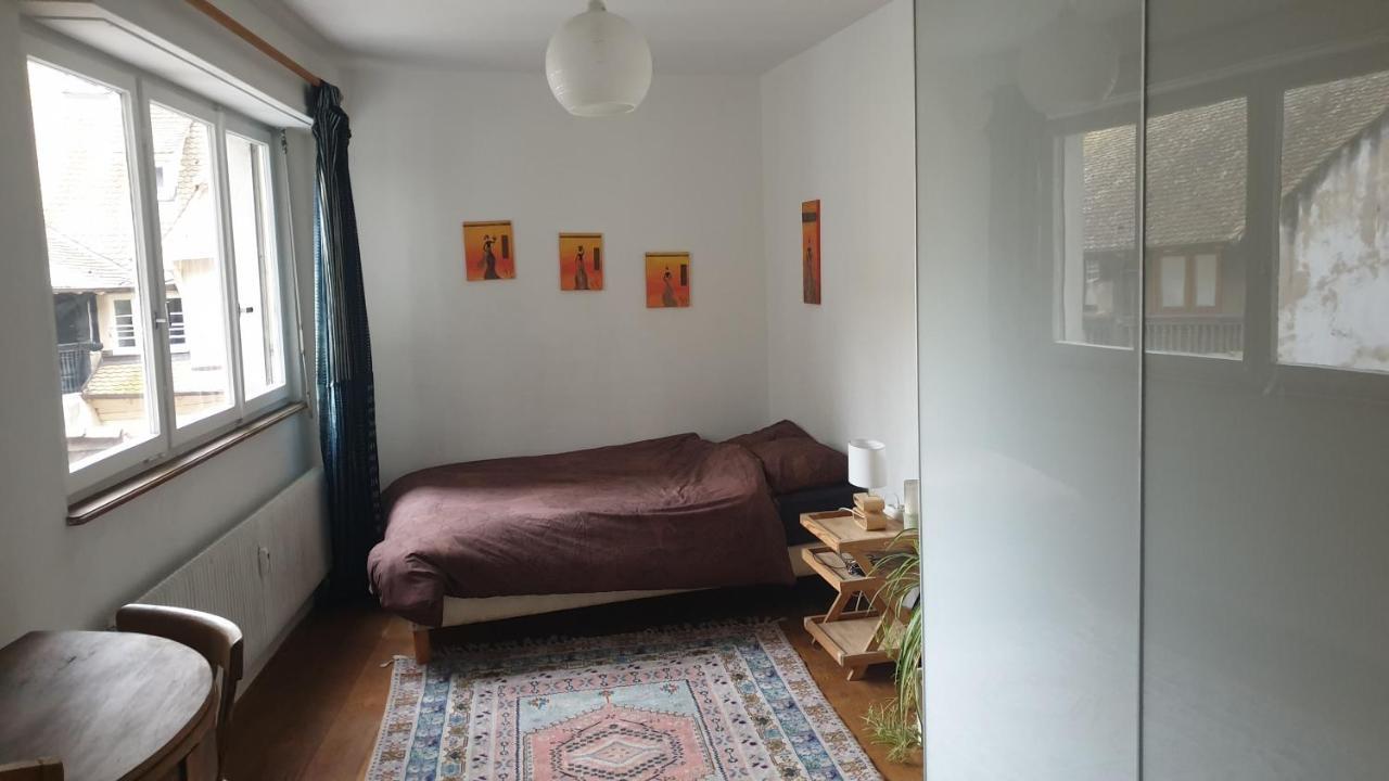 La Puisatiere 80 M2 Leilighet Strasbourg Eksteriør bilde