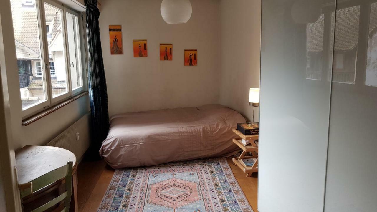 La Puisatiere 80 M2 Leilighet Strasbourg Eksteriør bilde